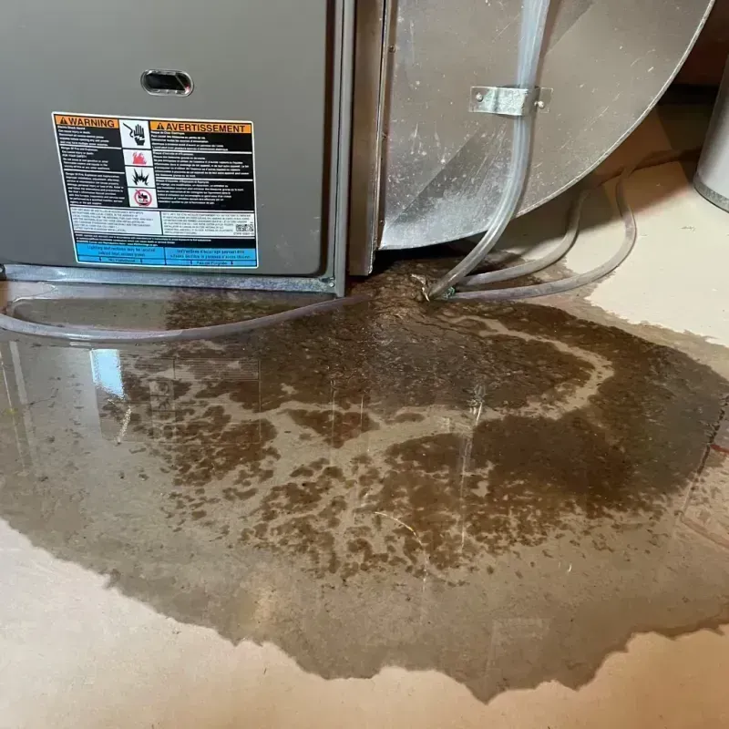 Appliance Leak Cleanup in Park Ridge, IL